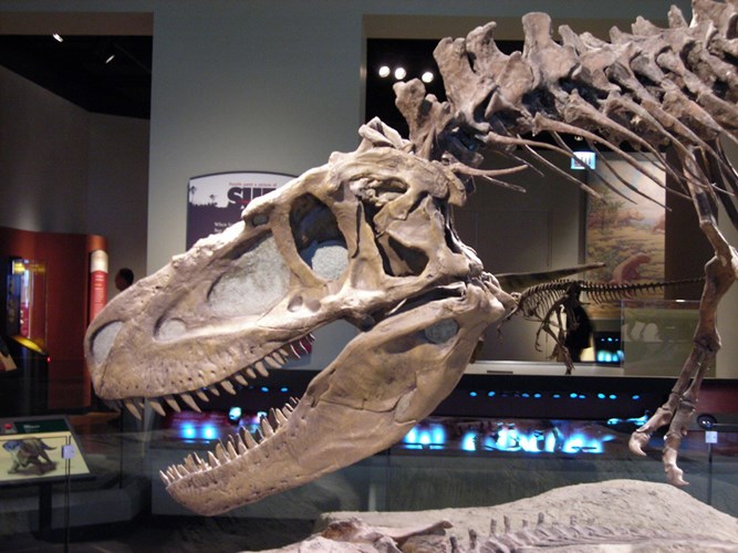Picture 8 of The largest dinosaur mecca in the world