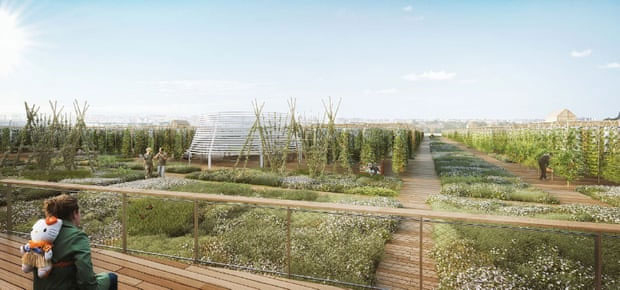 Picture 3 of The largest green farm in the world in the heart of magnificent Paris