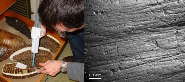 Picture 1 of The last food of the ancient people revealed the length of stay