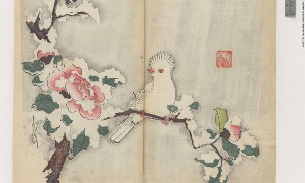 Picture 1 of The letter is in an eerie color for 300 years