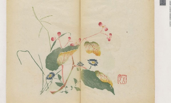 Picture 10 of The letter is in an eerie color for 300 years