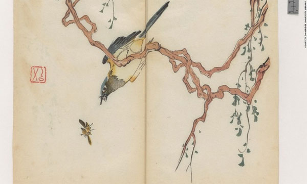 Picture 11 of The letter is in an eerie color for 300 years