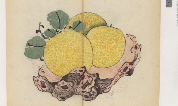 Picture 12 of The letter is in an eerie color for 300 years