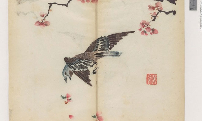 Picture 3 of The letter is in an eerie color for 300 years