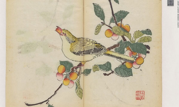 Picture 4 of The letter is in an eerie color for 300 years