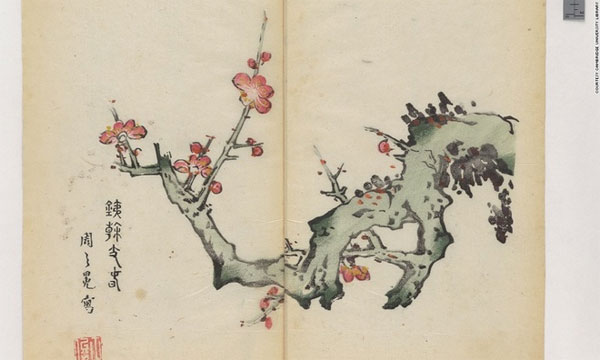 Picture 7 of The letter is in an eerie color for 300 years