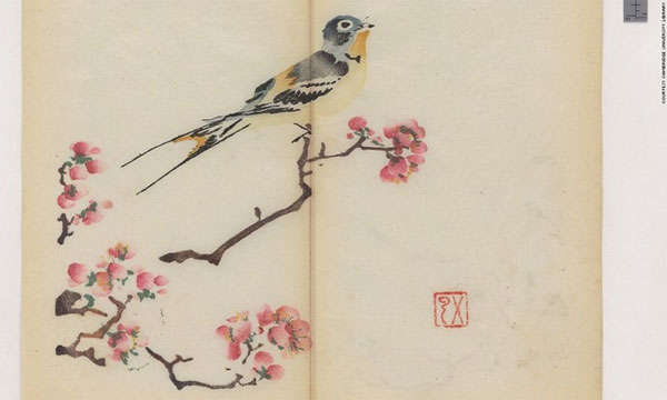 Picture 8 of The letter is in an eerie color for 300 years