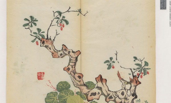 Picture 9 of The letter is in an eerie color for 300 years