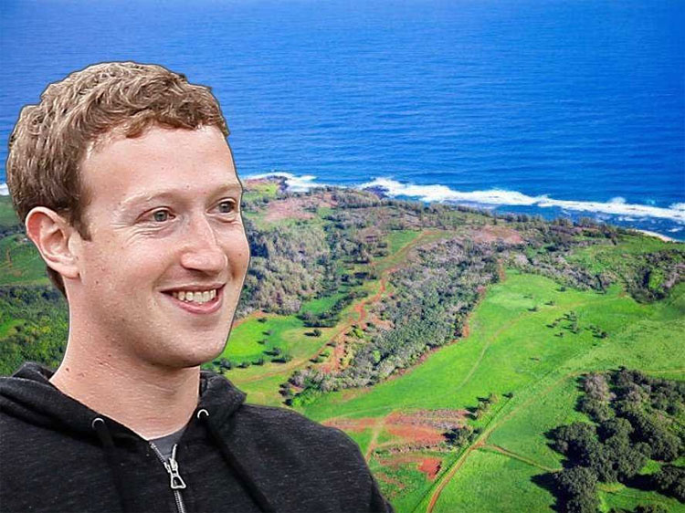 Picture 16 of The life and career of Mark Zuckerberg - Facebook boss