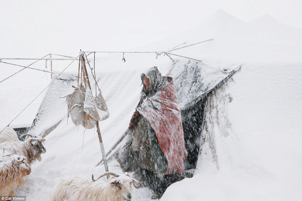 Picture 12 of The life of no money, no technology of tribes in the Himalayas