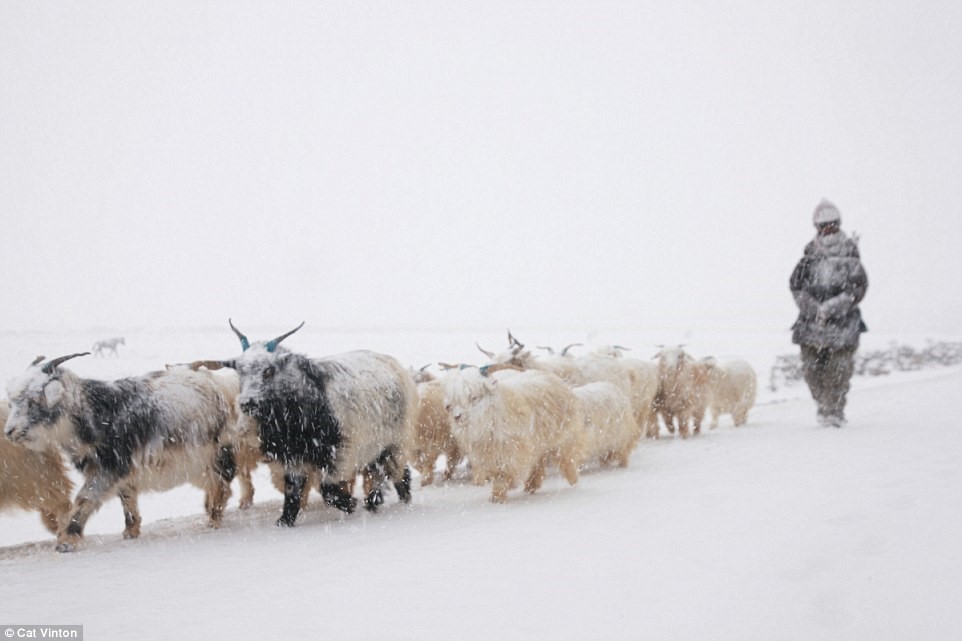 Picture 7 of The life of no money, no technology of tribes in the Himalayas