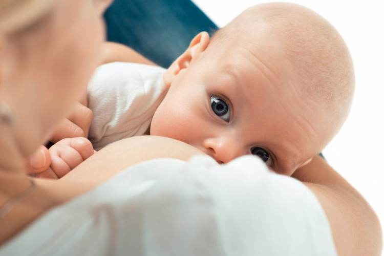 The link between human milk and wild animal milk images 2