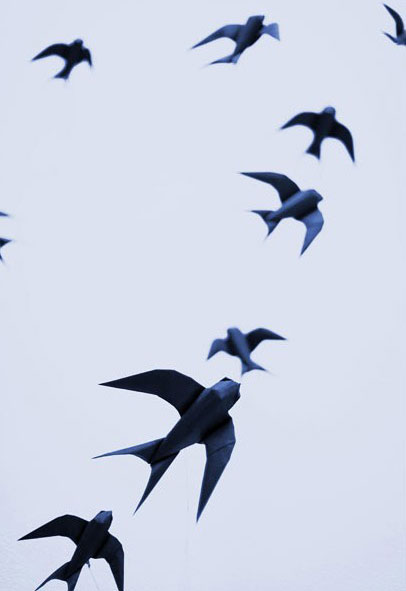 Picture 14 of The living animal world on paper