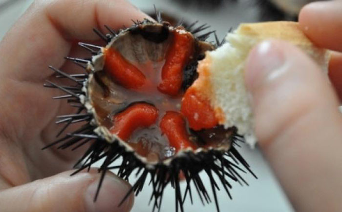 Picture 2 of The living food is not for the faint of heart
