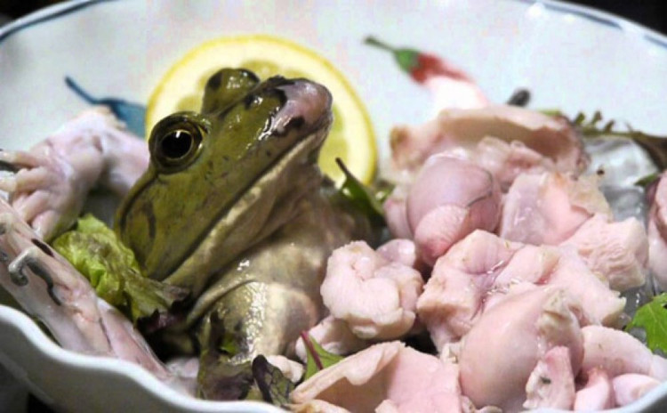 Picture 7 of The living food is not for the faint of heart