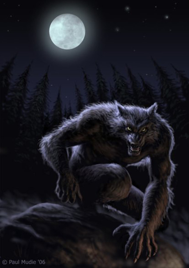 Picture 3 of The lore of the Moon