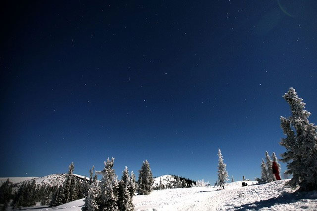 Picture 1 of The 'magic' images of winter in Alaska