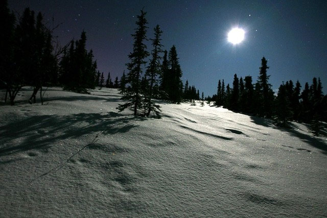 Picture 14 of The 'magic' images of winter in Alaska