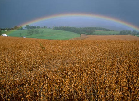 Picture 8 of The magical beauty of the rainbow