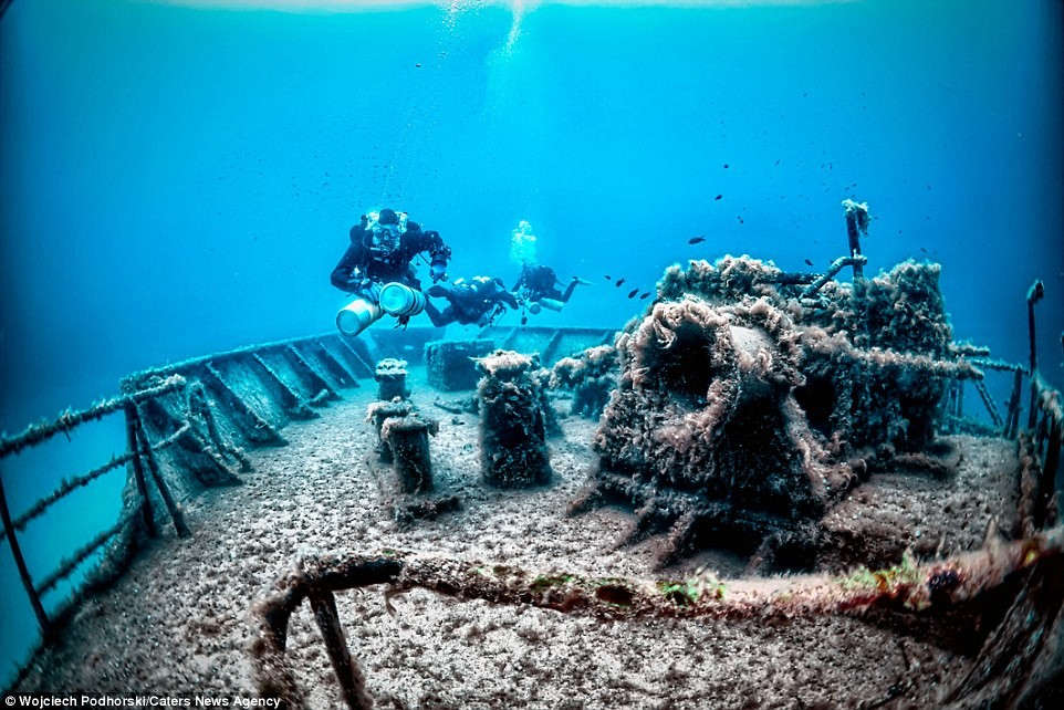 Picture 10 of The magical beauty of wrecks on the ocean floor