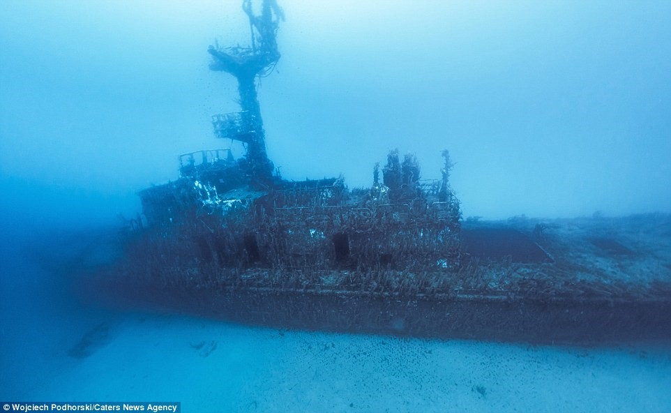 Picture 15 of The magical beauty of wrecks on the ocean floor