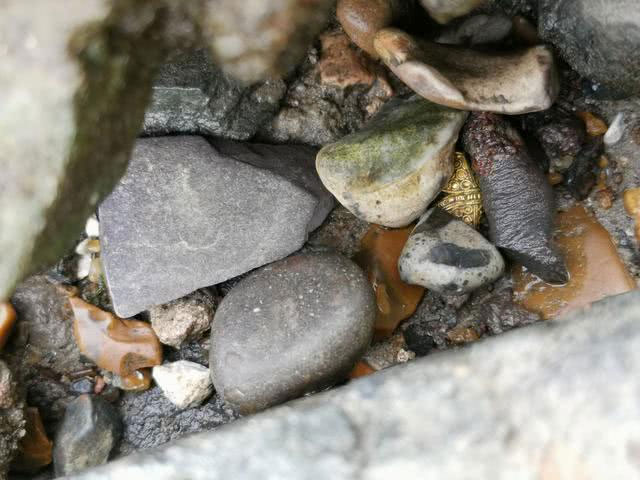 Picture 2 of The male worker changed his life after picking up a 1000-year-old jewelry