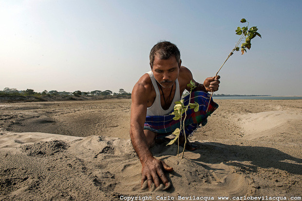 Picture 2 of The man planted trees for 40 years and the results were unexpected