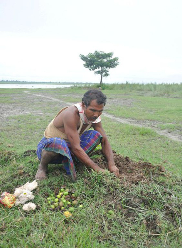 Picture 3 of The man planted trees for 40 years and the results were unexpected