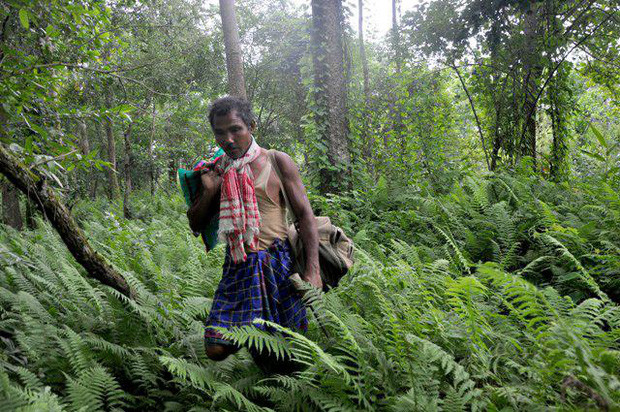 Picture 5 of The man planted trees for 40 years and the results were unexpected