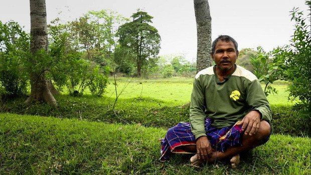 Picture 6 of The man planted trees for 40 years and the results were unexpected