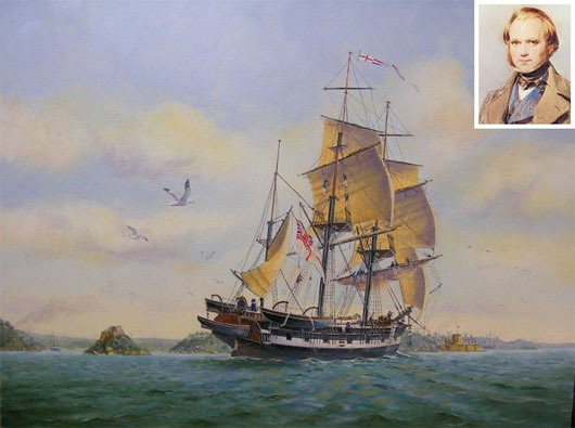 Picture 3 of The marine watch associated with the expeditions of Charles Darwin