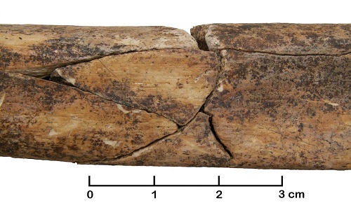Picture 2 of The mass grave of 7,000 years revealed a bloody massacre