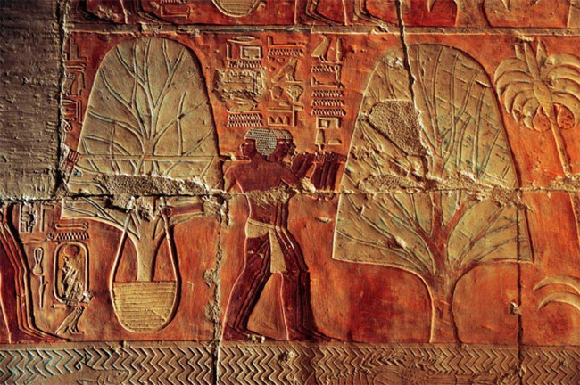 Picture 4 of The mausoleum of the beautiful Queen of Egypt despite the destruction of her stepmother