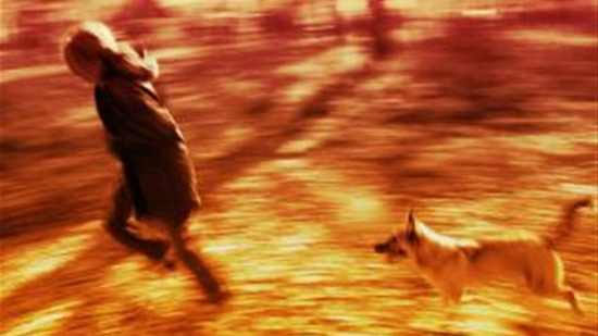 Picture 9 of The meaning of nightmares you may not know