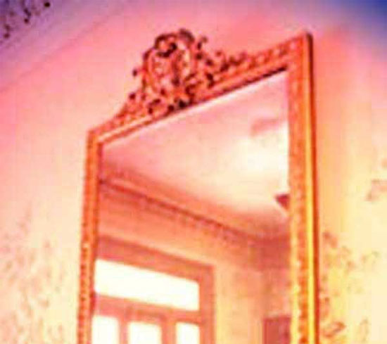 Picture 4 of The mirror of the