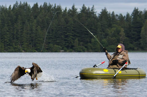Picture 9 of The moment of 'ecstasy' of animals