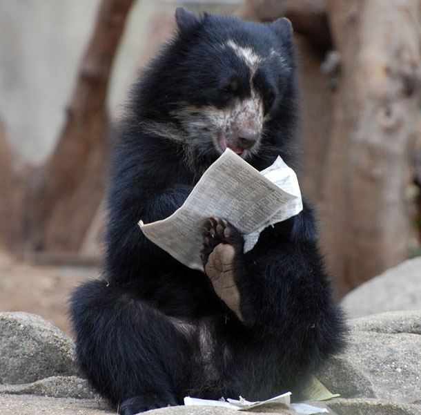 Picture 7 of The moment of 'unable to stop laughing' of animals