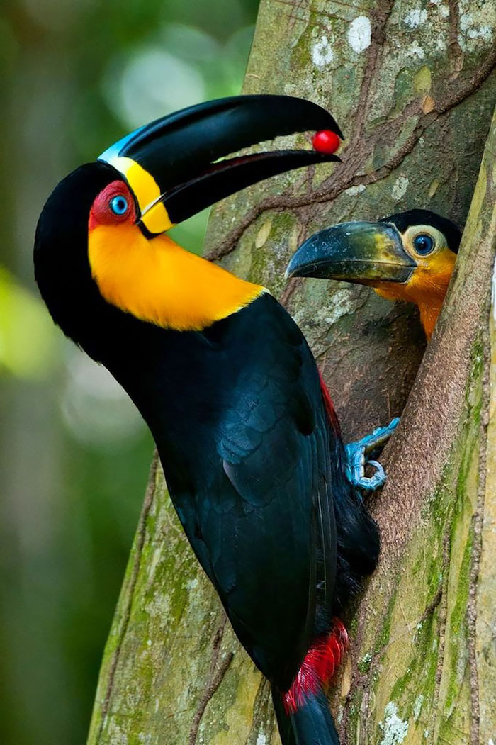 Picture 15 of The moment the parents take care of their children, they are very touched