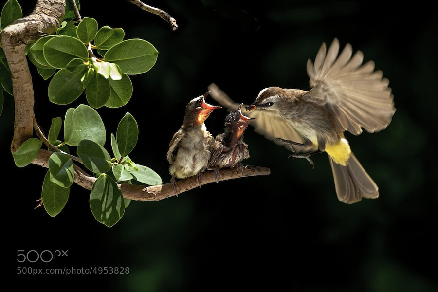 Picture 2 of The moment the parents take care of their children, they are very touched