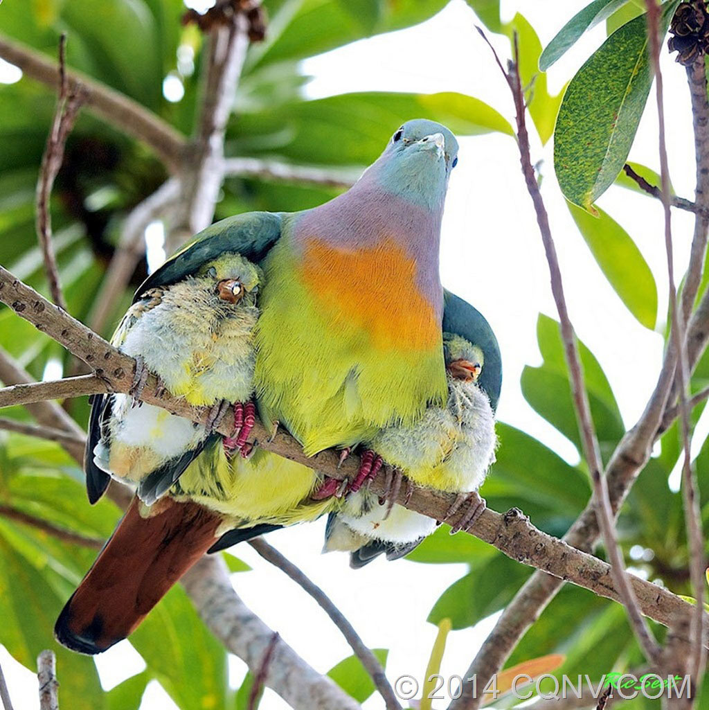 Picture 4 of The moment the parents take care of their children, they are very touched