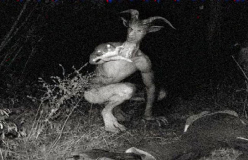 Picture 6 of The monsters in the lake make humans terrified