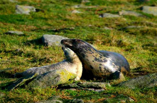 Picture 13 of The most adorable animal pictures in 2012