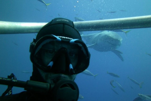 Picture 11 of The most adventurous selfie in the world