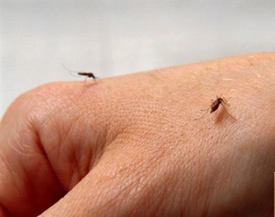 Picture 2 of The most annoying jobs in science