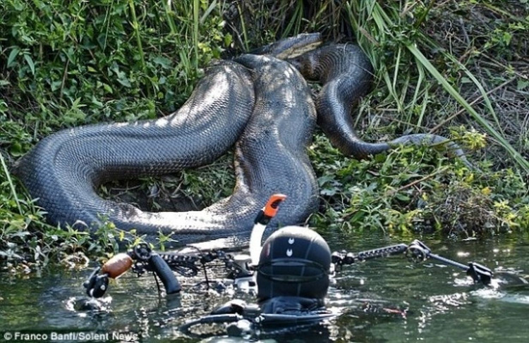 Picture 1 of The most authentic images of