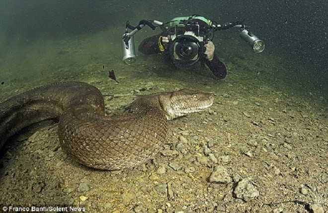 Picture 3 of The most authentic images of