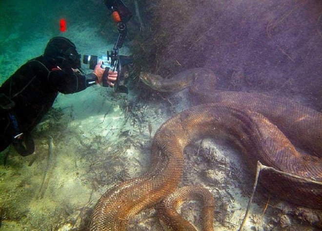 Picture 4 of The most authentic images of