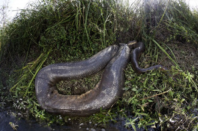 Picture 5 of The most authentic images of