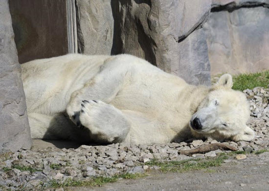 Picture 10 of The most beautiful animal photos of the past week