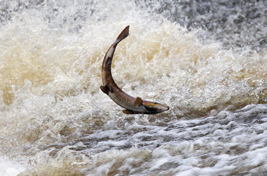 Picture 6 of The most beautiful animal photos of the past week